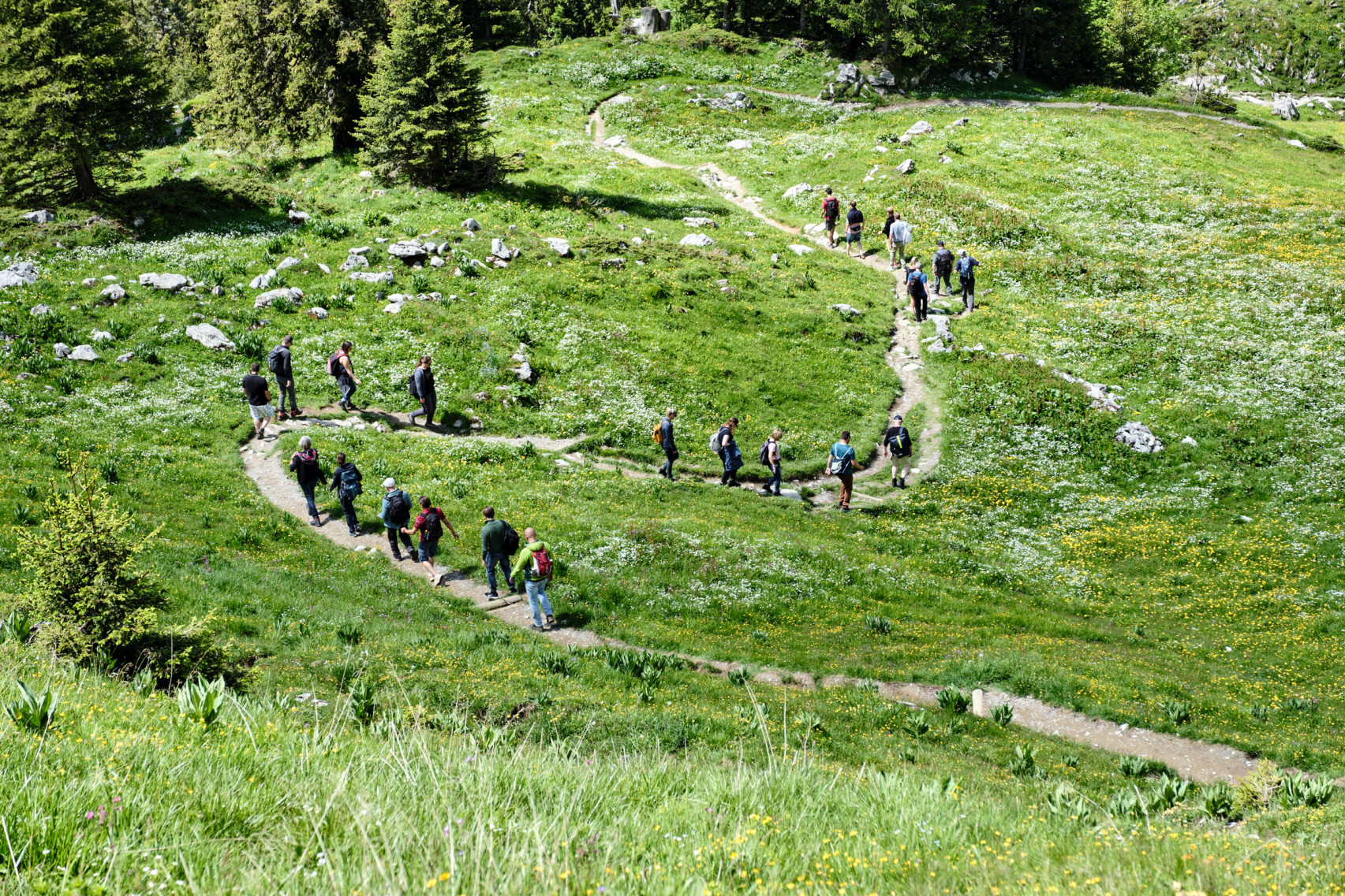 Mitarbeitende der emmental versicherung während einer Wanderung in der Natur von oben fotografiert.